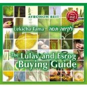 Lekicha Tama:The Lulav And Esrog Buying Guide