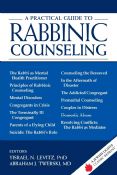 A Practical Guide To Rabbinic Counseling