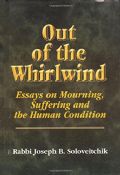 Out of the Whirlwind-Essays on Mourning, Suffering And The Human Condition