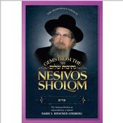 Gems From Nesivos Shalom: Purim